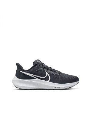 Nike Pegasus 39