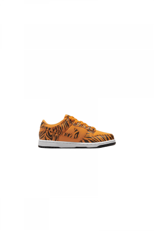 Nike Dunk Low Next Nature