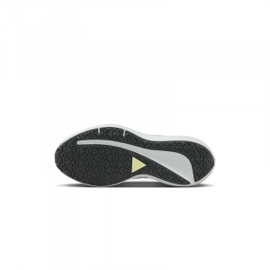 Nike Air Winflo 9 Shield